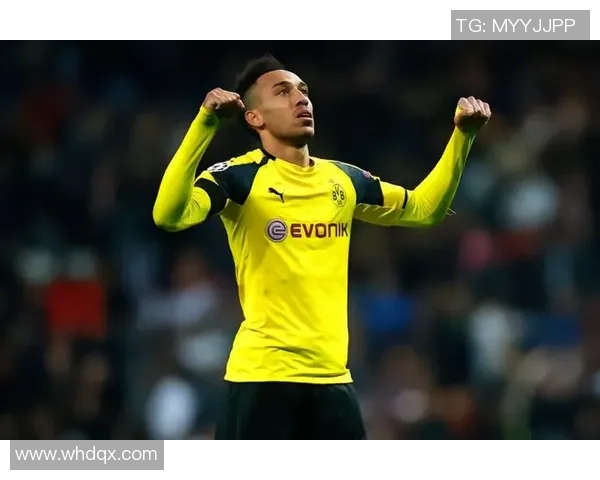 母亲为法国人背景的足球巨星及其成就解析