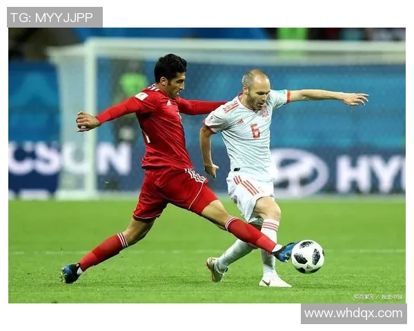 足球球星金的荣耀与奋斗旅程揭示坚持与荣耀之路